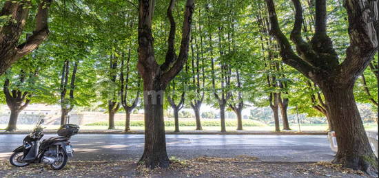 Appartamento viale Carlo del Prete,945, Piazza Napoleone - San Michele, Lucca