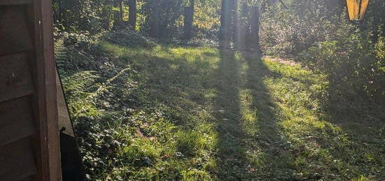 Idyllische, ruhige Wohnung in Heusweiler