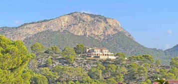 Casa en Es Camp de Mar, Andratx