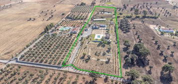 Quinta C/ 35.000m2 T3 + Anexo e Piscina - Ferreira do Alentejo