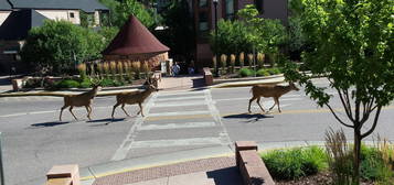 Barker House in Manitou Springs, Manitou Springs, CO 80829