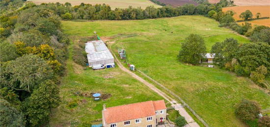 5 bedroom equestrian facility for sale