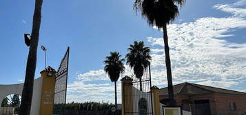 Casa rural en Palacios y Villafranca (Los)