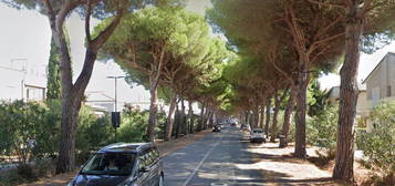 Bilocale viale della Repubblica, Marina di Cecina, Cecina