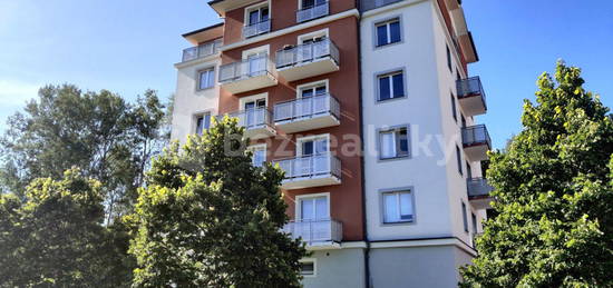 Pronájem bytu 1+kk 26 m², U Boru, České Budějovice