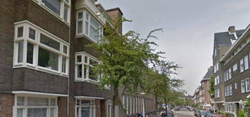 Dintelstraat