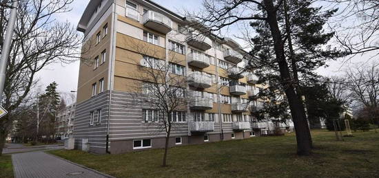 Pronájem bytu 1+kk, 31 m2, Hradec Králové, ul. Gagarinova