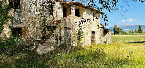 Casale/cascina in vendita in strada Provinciale 444 s.n.c