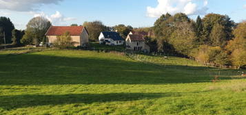 Maison avec dépendances sur grand terrain