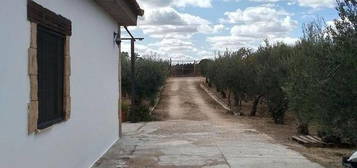 Casa rural en Puebla del Río (La)