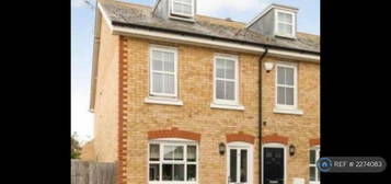 3 bedroom end of terrace house