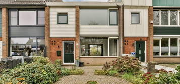 Mendelstraat 61