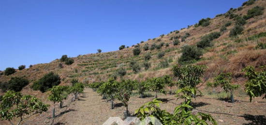 Finca rústica en venta en Totalán