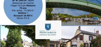 Viager occupé - F78 ans - MONTARGIS (45320)