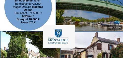 Viager occupé - F78 ans - MONTARGIS (45320)