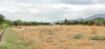 Finca rústica en venta en Villarrobledo