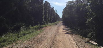 Elm St, Traskwood, AR 72167