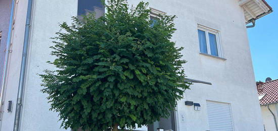 Modernes 3-Fam.-Haus m. Einliegerwohnung Karben/Burg-Gräfenrode