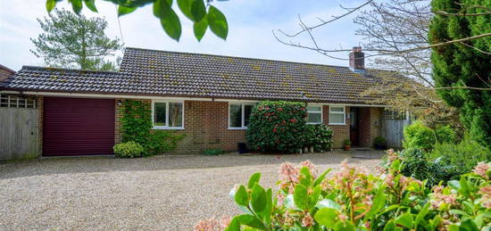 Bungalow to rent in Rhinefield Road, Brockenhurst SO42