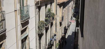 Estudio en calle De Sant Pere Més Baix, Sant Pere, Santa Caterina i la Ribera, Barcelona