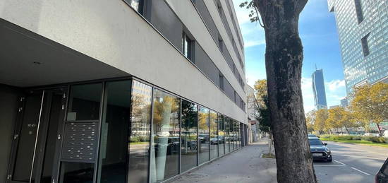 Ruhige, klimatisierte Terrassenwohnung in der Nähe der Alten Donau