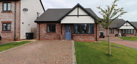 Bungalow to rent in Aballava Way, Burgh-By-Sands, Carlisle CA5