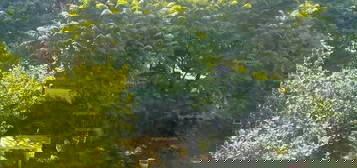 Bugyi, Pest megye