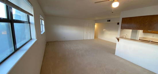 100 Golden Sands APT D, Santa Teresa, NM 88008