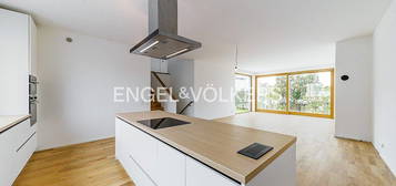 Pronájem  rodinného domu 223 m², pozemek 559 m²