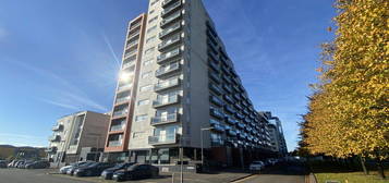 1 bed flat to rent