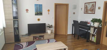 Pronájem bytu 2+kk 50 m² (Jednopodlažní)