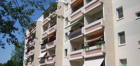 Gut ausgestattete und dennoch preiswerte Wohnung mit Blick auf den Wurzener Stadtpark