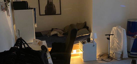 Wohnung zu vermieten; Kölner Südstadt, 1 Zimmer