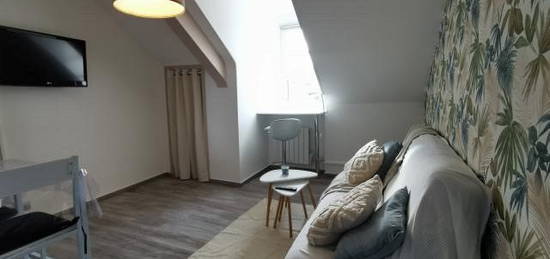 Studio meublé  à louer, 1 pièce, 17 m², Étage 3/–