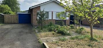 Detached bungalow to rent in Hereford, Herefordshire HR1