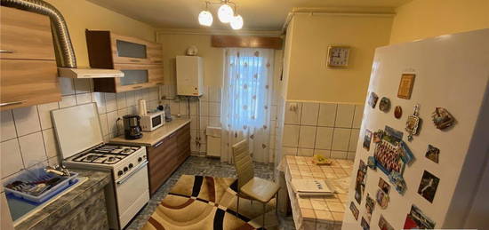 Apartament 3 camere de vanzare in Cristesti