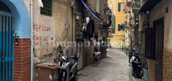 Bilocale Vicoletto 2 Politi 1, Quartieri Spagnoli, Napoli