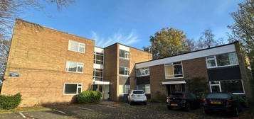 1 bed flat to rent