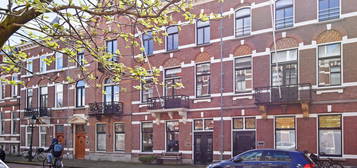 1e Sweelinckstraat 50