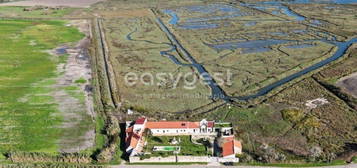 Quinta com 1HA , sita na aldeia ribeirinha mais colorida do tejo: G...