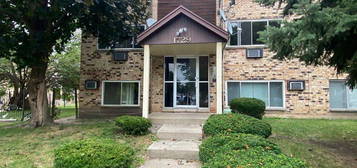 1729 W  Chariot Ct #2B, Mount Prospect, IL 60056