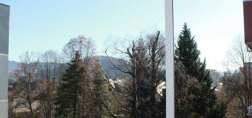 Neu renovierte 2 Zimmer Whg