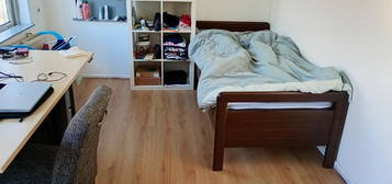 Furnished Room For Rent In Maarssen