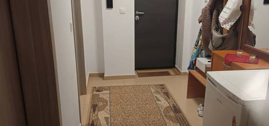 Apartament  1 camera Frumoasa , 38 metri, etaj 3 Cod:156658