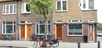 Pieter Nieuwlandstraat