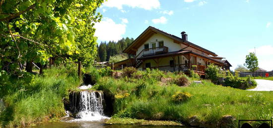 Alpine Eleganz: Edle Lodgestil-Apartments im Osttiroler Pustertal