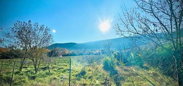 Maison 65m2 vue sur les vignes