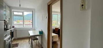 Apartament  2 camere Central , 50 metri, etaj 3 Cod:156604