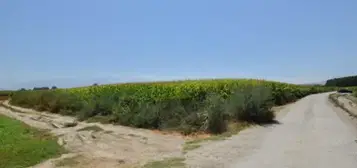 Finca r&#xFA;stica en Vial de La Vega