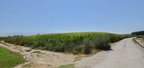 Finca r&#xFA;stica en Vial de La Vega